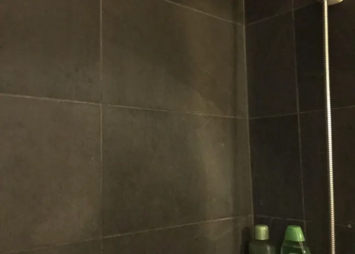 公寓 愉快的中央公寓